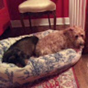 Meet your Posher, Christine